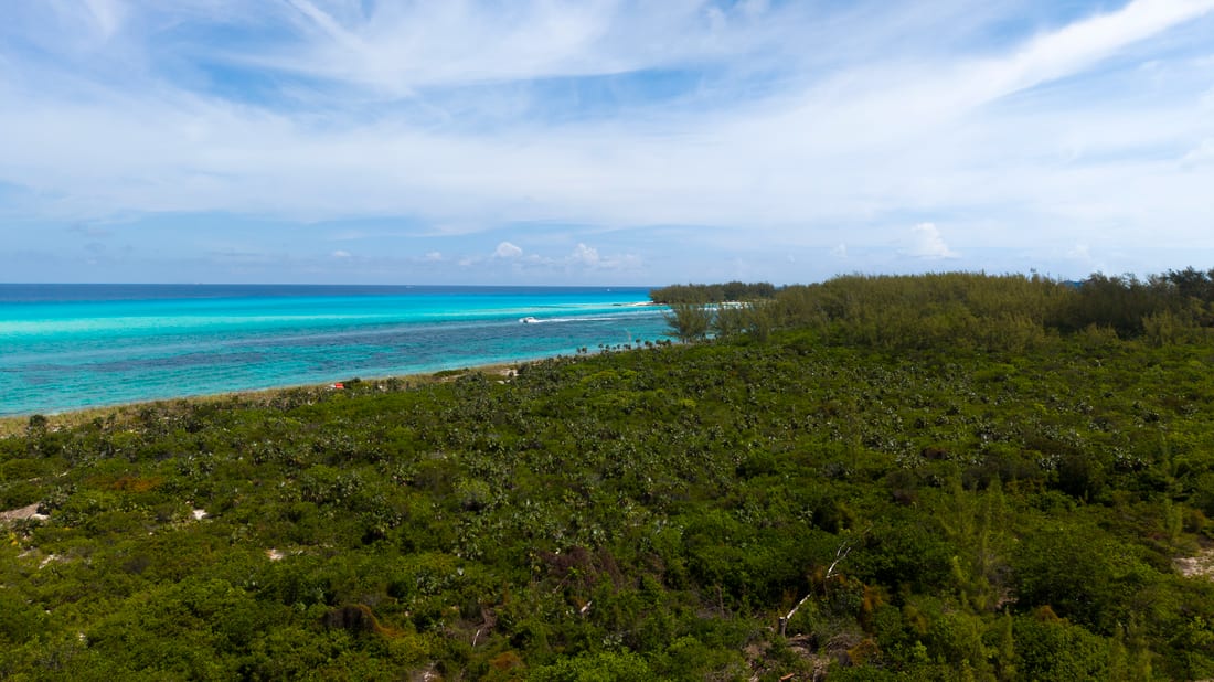 Bimini Tides
