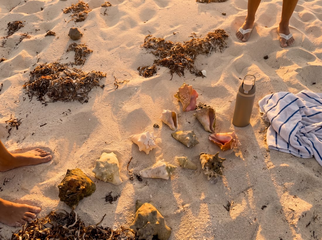 Bimini Tides
