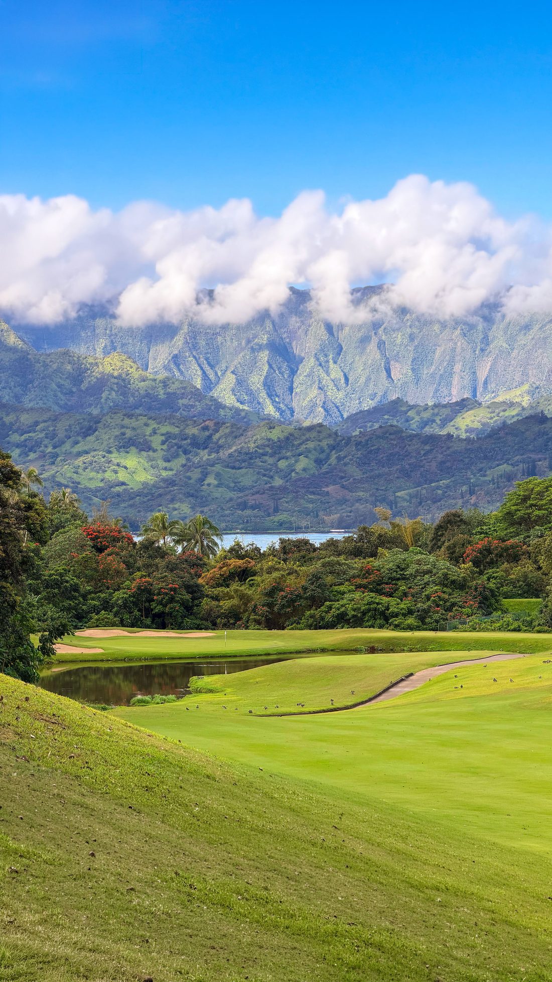 Princeville Makai