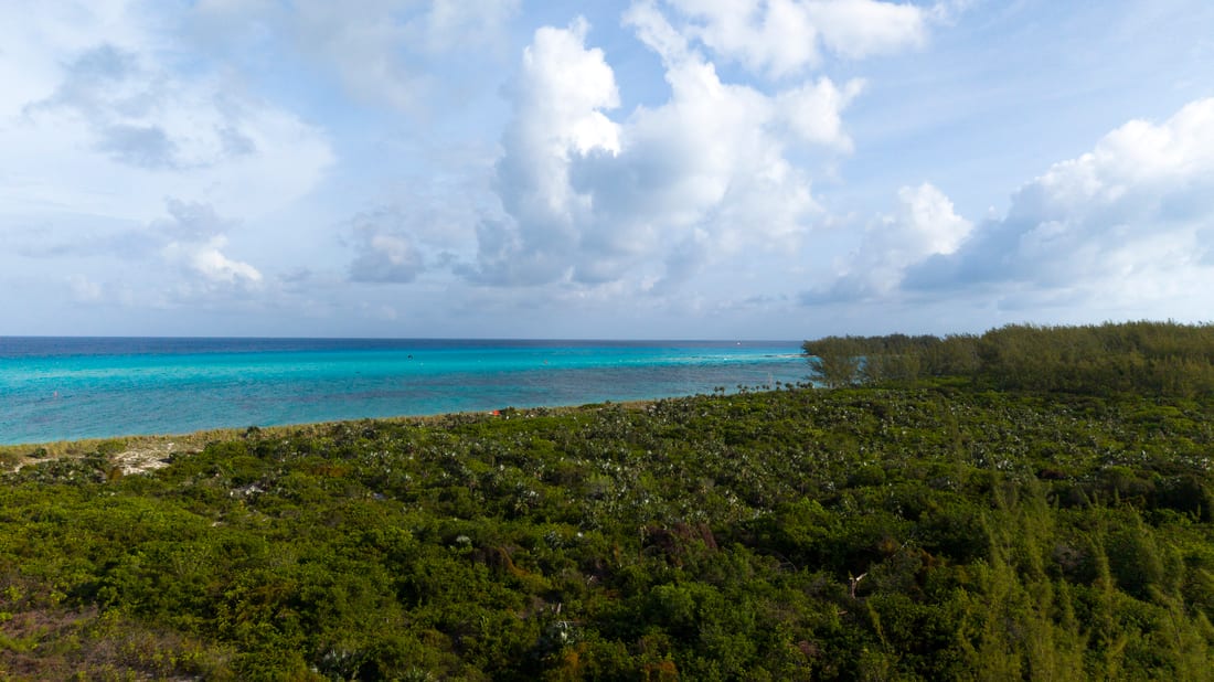 Bimini Tides
