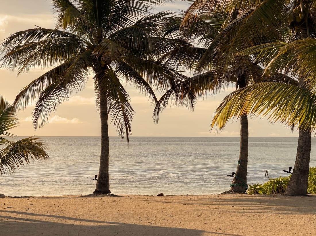 Bimini Tides