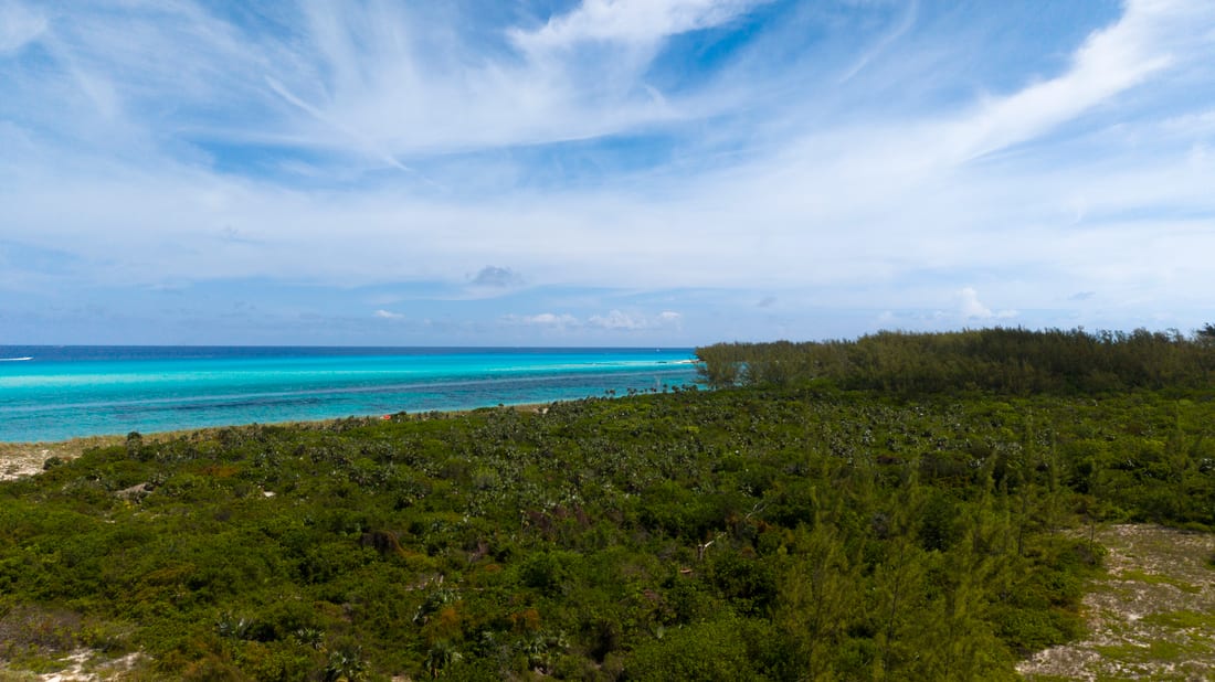 Bimini Tides