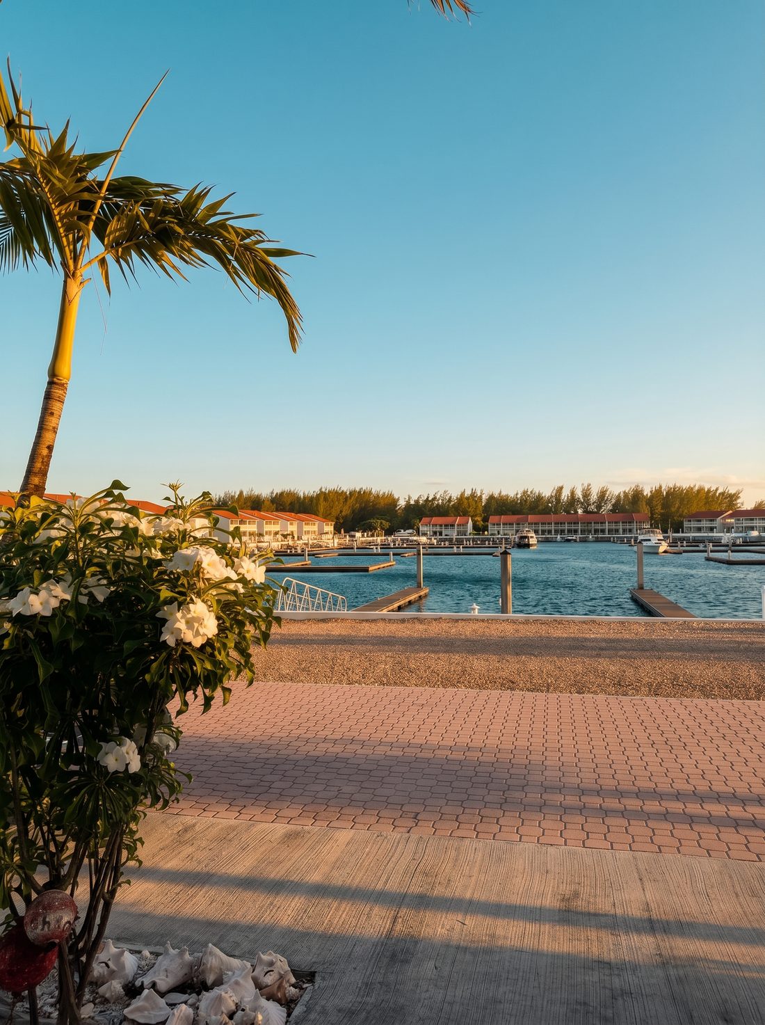 Bimini Tides