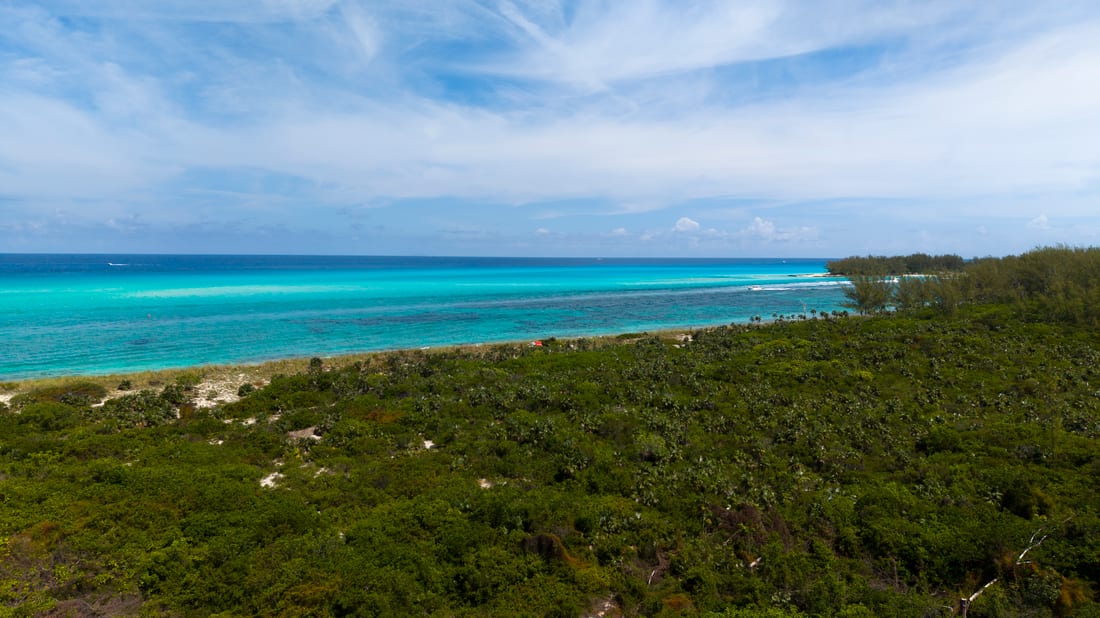 Bimini Tides