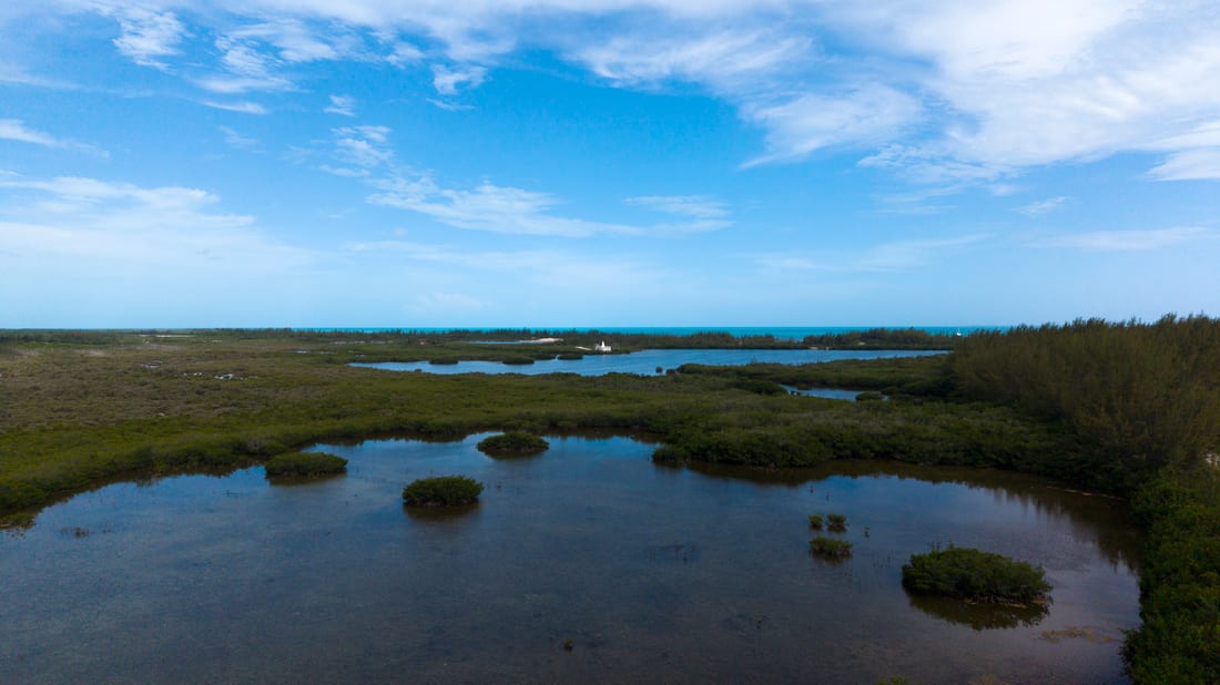 Bimini Tides