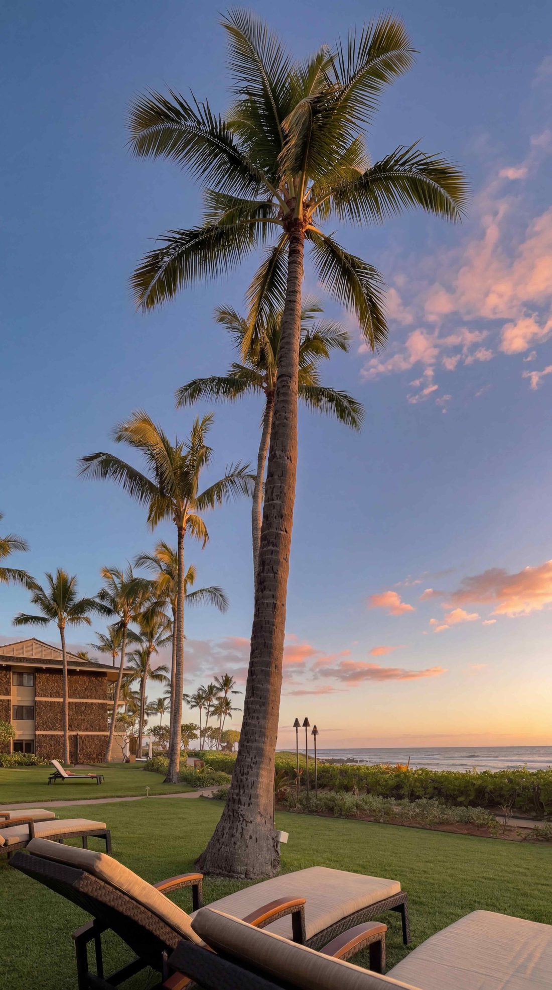 Ko'a Kea